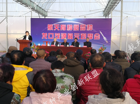 【成果转化】联盟成员单位山东茂源果蔬专业合作社航天育种示范工作取得阶段性进展