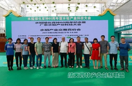 “华航48号”使用权成功拍卖！敲响广东优质稻品种交易首槌