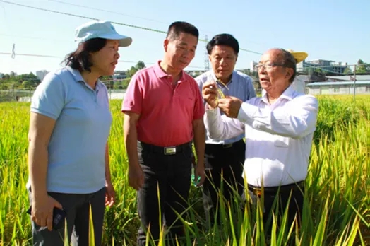 试验船空间诱变试验项目连载系列——广东水稻、南药等种子完成“太空之旅”